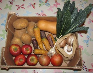 organic veggie box